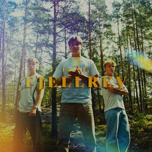 Fjellrev - Publik