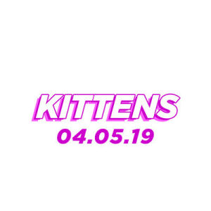 Kittens, Friday, April 5th, 2019