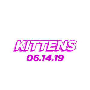 Kittens, Friday, June 14th, 2019