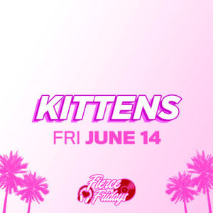 Kittens, Friday, June 14th, 2019