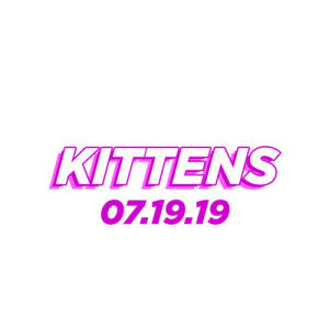 Kittens, Friday, July 19th, 2019
