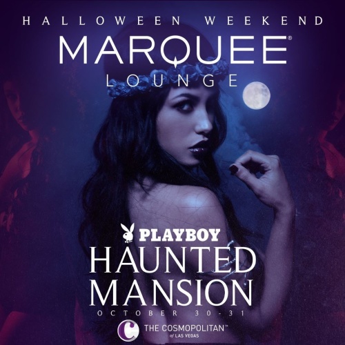MARQUEE LOUNGE - Marquee Pool at Night