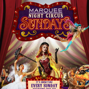 NIGHT CIRCUS, Sunday, January 2nd, 2022