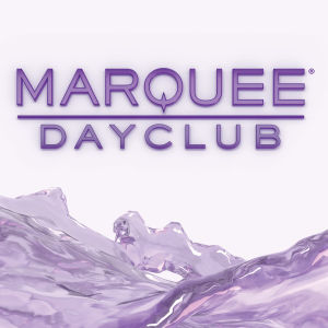 CEDRIC GERVAIS, Friday, April 26th, 2019