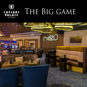 The Big Game, Sunday, February 3rd, 2019