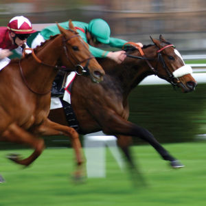 The Derby 2021, Saturday, May 1st, 2021