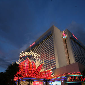 Flamingo Uncovered, Wednesday, February 20th, 2019