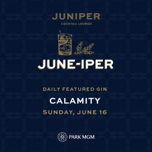 CALAMITY, Sunday, June 16th, 2019