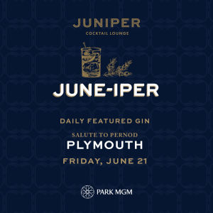 PLYMOUTH, Friday, June 21st, 2019