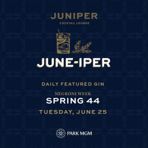 SPRING 44, Tuesday, June 25th, 2019