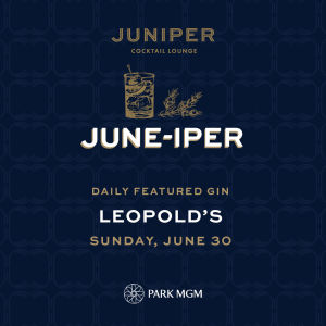 LEOPOLD'S, Sunday, June 30th, 2019