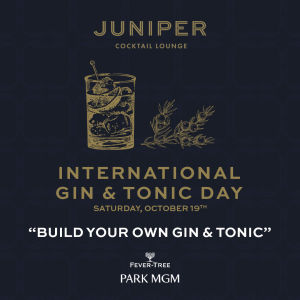 International Gin & Tonic Day, Saturday, October 19th, 2019