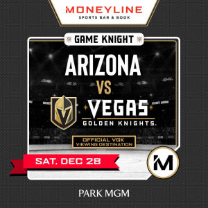 Game KNIGHT: Arizona vs VGK, Saturday, December 28th, 2019