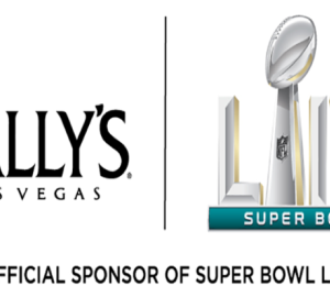 Indigo Lounge Super Bowl LIV Experience & Tailgate Buffet, Sunday, February 2nd, 2020