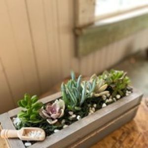 Get Crafty: Succulent Planter Box, Saturday, August 6th, 2022