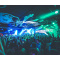 Real Hypha at Moonshine Beach
