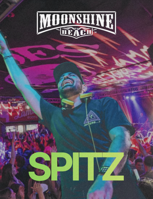 SPITZ at Moonshine Beach - Moonshine Beach