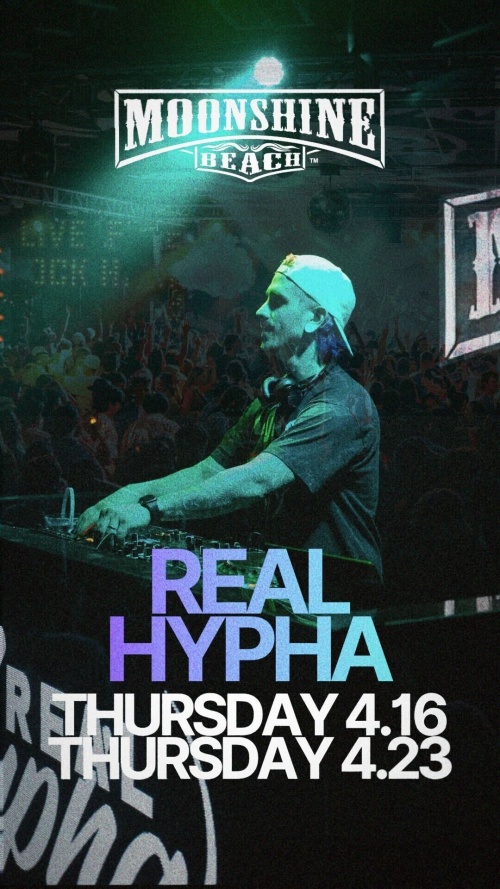 Real Hypha at Moonshine Beach - Moonshine Beach