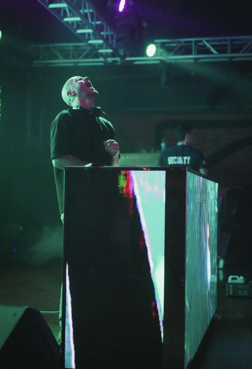 KIKI at Moonshine Beach - Moonshine Beach