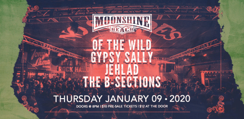 Of the Wild, Gypsy Sally, Jehlad and B-Sections Live at Moonshine Beach - Moonshine Beach