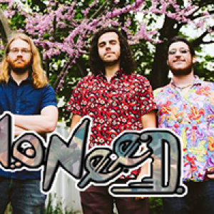 No Need Band, Thursday, February 21st, 2019