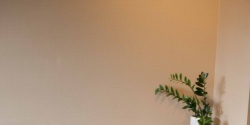 Breathwork and Cold Plunge
