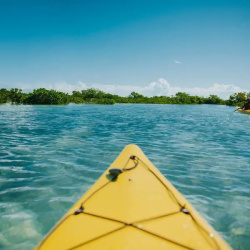 Clear Kayak Mangrove