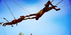 Circus