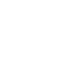 Bull and Bear Chicago