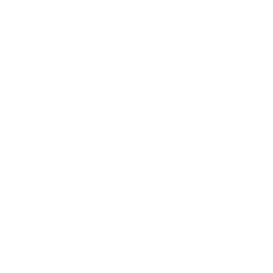 Lost Social Club