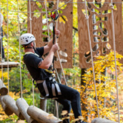 Arbor Adventure