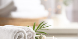 ANURA SPA.