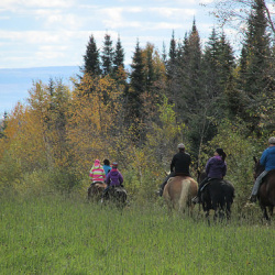 Horseback Riding Charlevoix