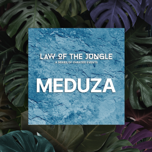 Flyer: MEDUZA