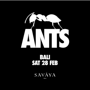 Flyer: ANTS