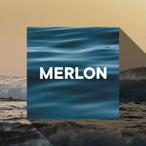 Flyer: MERLON