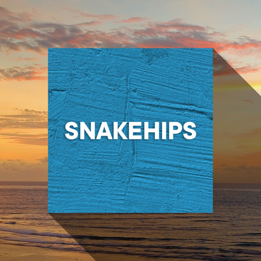 SNAKEHIPS