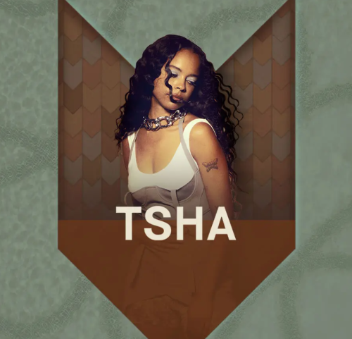 Flyer: TSHA