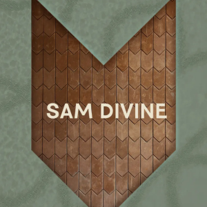 Flyer: SAM DEVINE