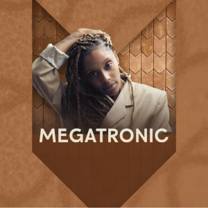 Flyer: MEGATRONIC