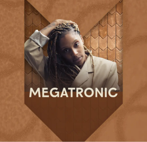 Flyer: MEGATRONIC