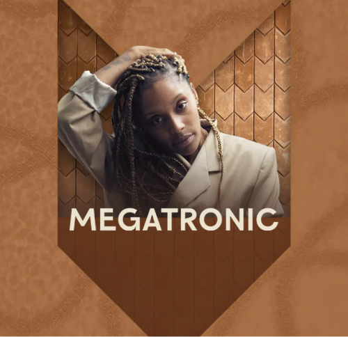 Flyer: MEGATRONIC