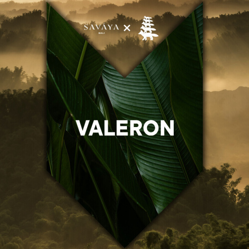 Flyer: VALERON