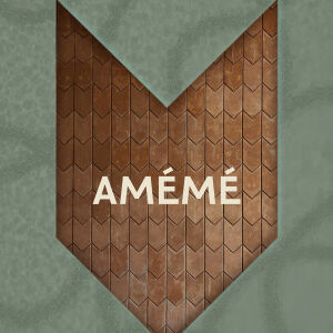 Flyer: AMEME