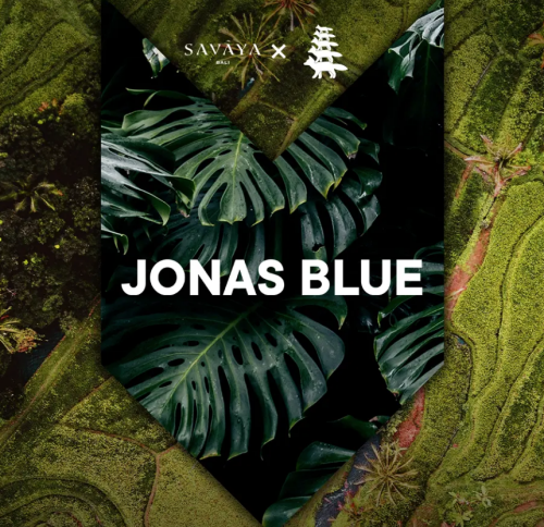 Flyer: JONAS BLUE