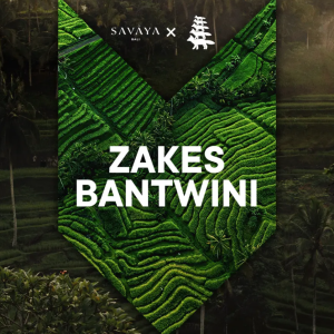 Flyer: ZAKES BANTWINI