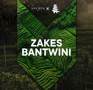 Flyer: ZAKES BANTWINI