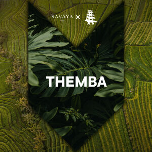 Flyer: THEMBA