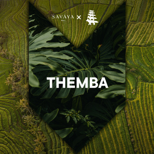 Flyer: THEMBA