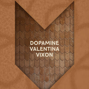 Flyer: DESA KITSUNE FRIDAY